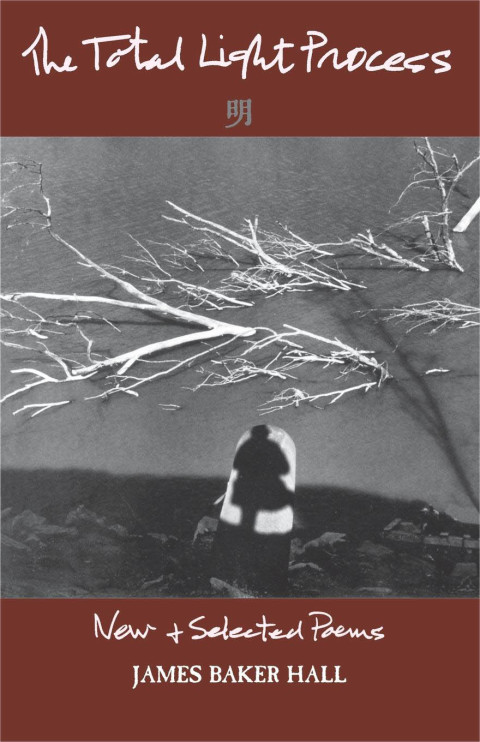 The Total Light Process 