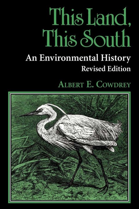 Cover image for book This Land, This South