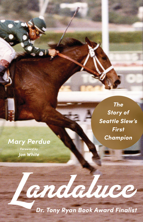 Cover image for book Landaluce