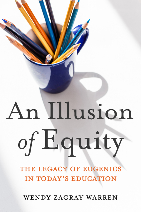 Cover image for book An Illusion of Equity