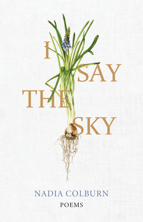 Cover image for book I Say the Sky