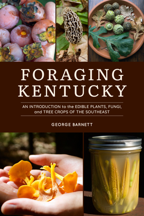 Cover image for book Foraging Kentucky