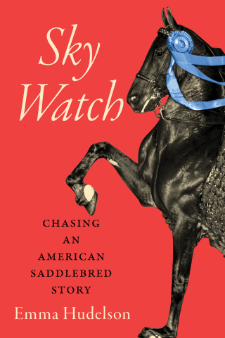 Sky Watch