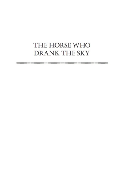 Cover image for book The Horse Who Drank the Sky