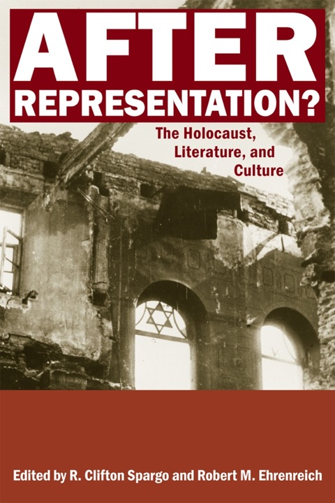 Cover image for book After Representation?