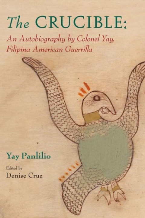 Cover image for book The Crucible
