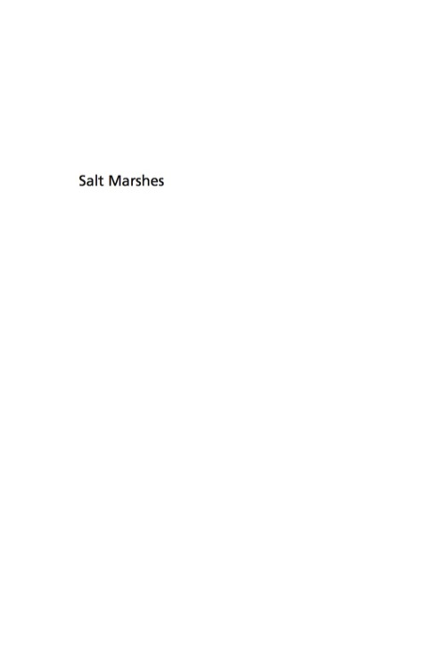 Cover image for book Salt Marshes