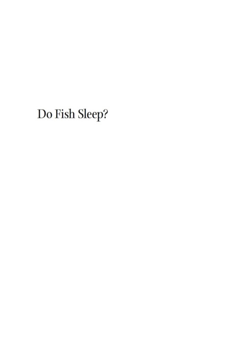 Cover image for book Do Fish Sleep?