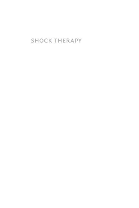 Cover image for book Shock Therapy