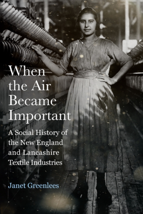 Cover image for book When the Air Became Important