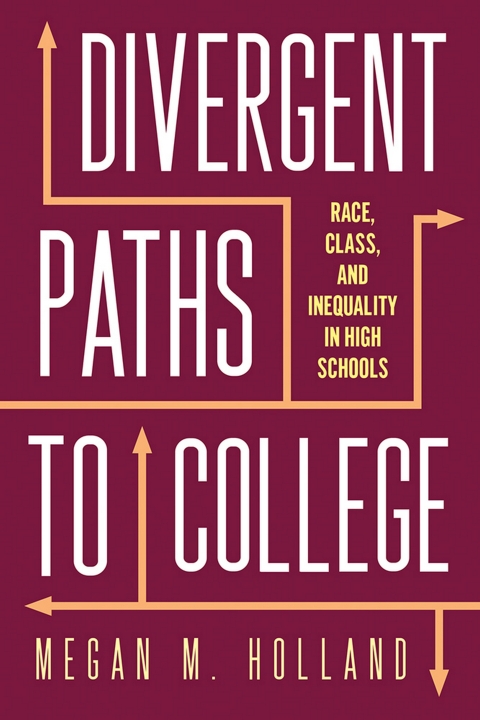 Cover image for book Divergent Paths to College