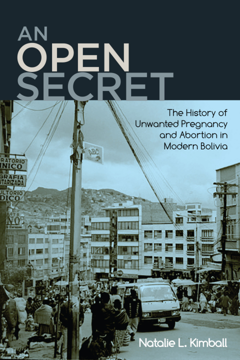Cover image for book An Open Secret