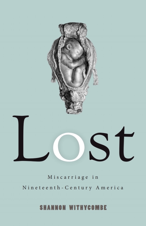 Cover image for book Lost