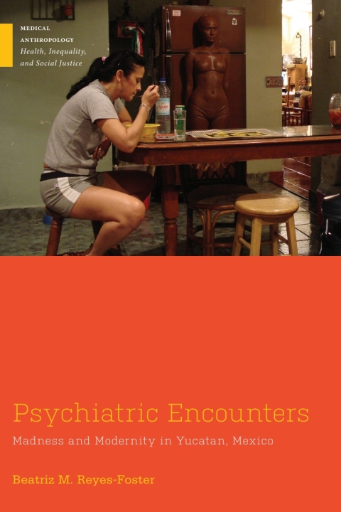 Cover image for book Psychiatric Encounters