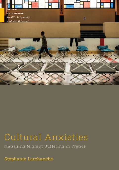 Cover image for book Cultural Anxieties