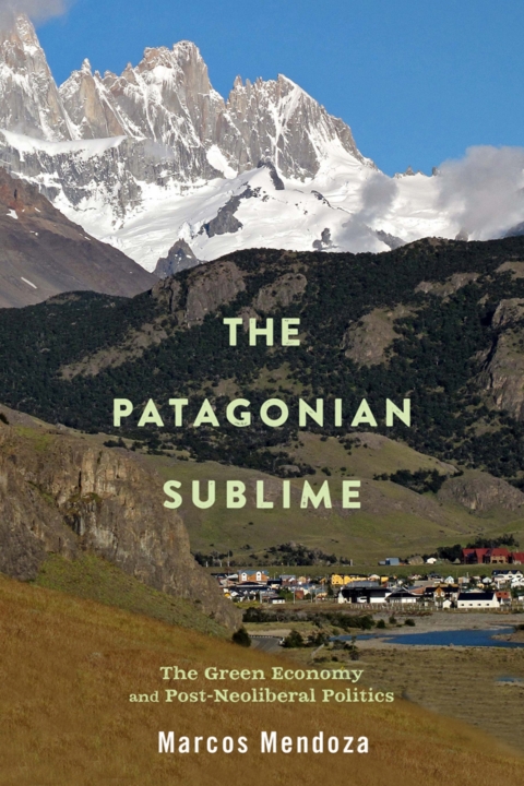Cover image for book The Patagonian Sublime