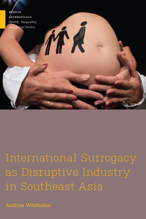 Cover image for book International Surrogacy as Disruptive Industry in Southeast Asia
