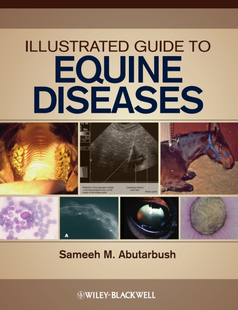 Cover image for book Illustrated Guide to Equine Diseases