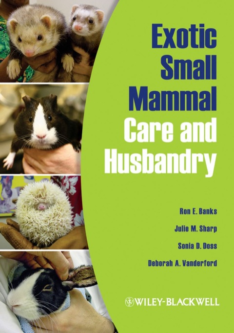 Cover image for book Exotic Small Mammal Care and Husbandry