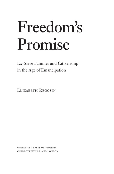 Cover image for book Freedom's Promise