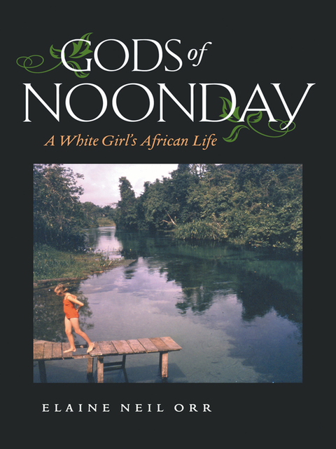 Cover image for book Gods of Noonday