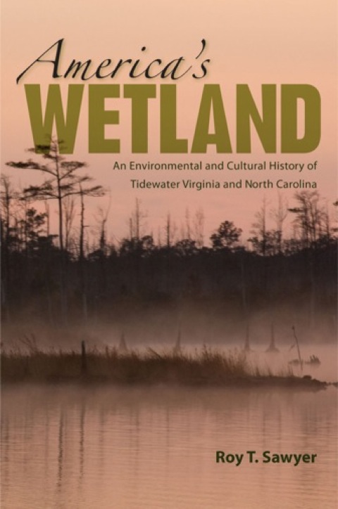 Cover image for book America's Wetland