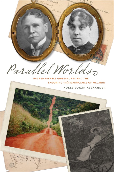 Cover image for book Parallel Worlds