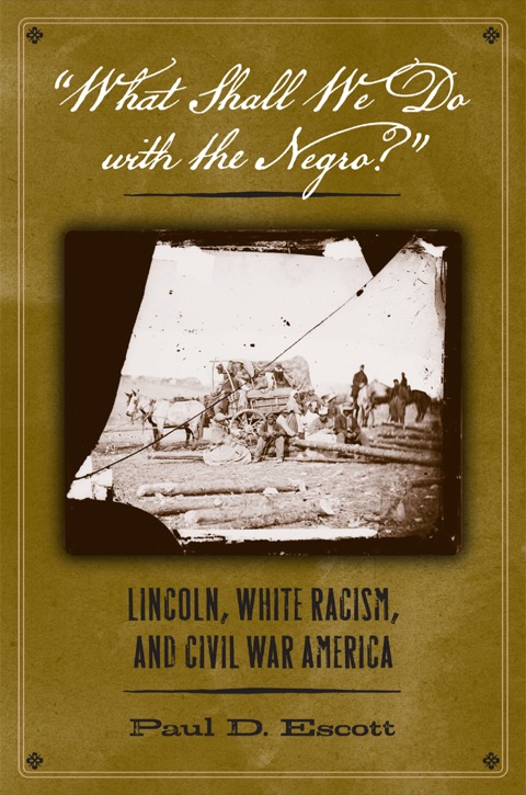 Cover image for book "What Shall We Do with the Negro?"