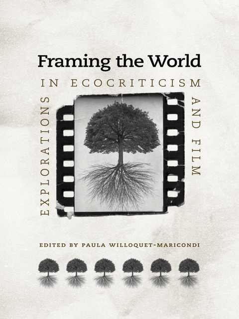 Cover image for book Framing the World