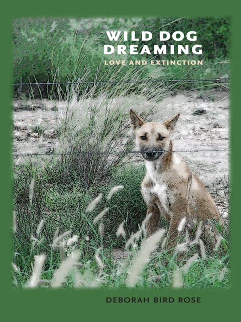 Cover image for book Wild Dog Dreaming