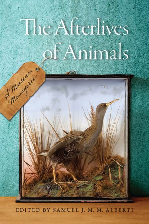Cover image for book The Afterlives of Animals