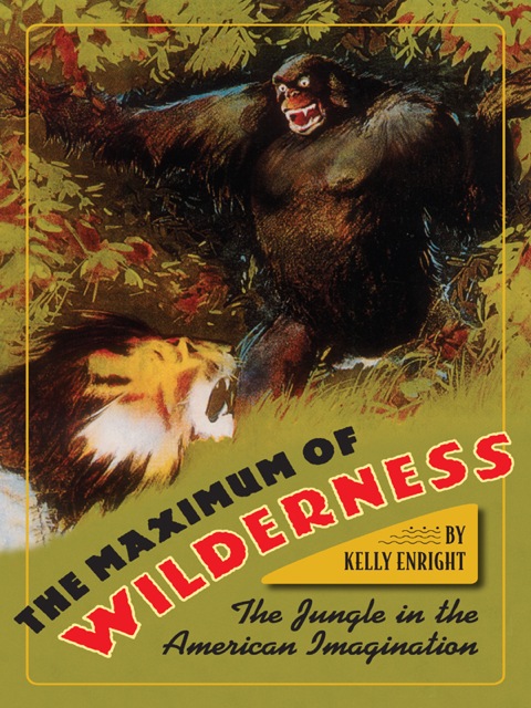 Cover image for book The Maximum of Wilderness
