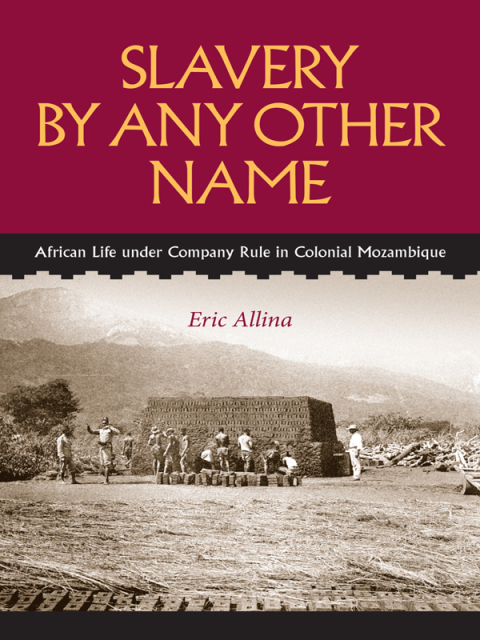 Cover image for book Slavery by Any Other Name