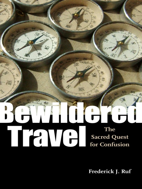 Cover image for book Bewildered Travel