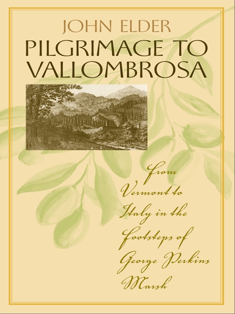 Cover image for book Pilgrimage to Vallombrosa