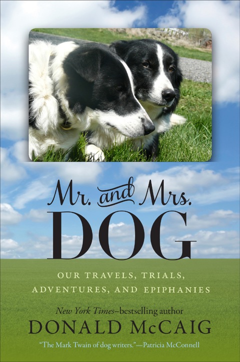 Cover image for book Mr. and Mrs. Dog