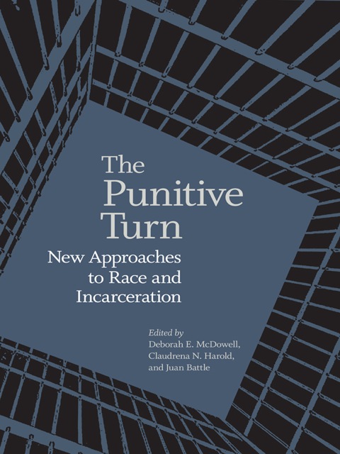 Cover image for book The Punitive Turn