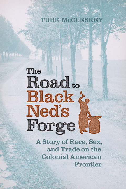 Cover image for book The Road to Black Ned's Forge