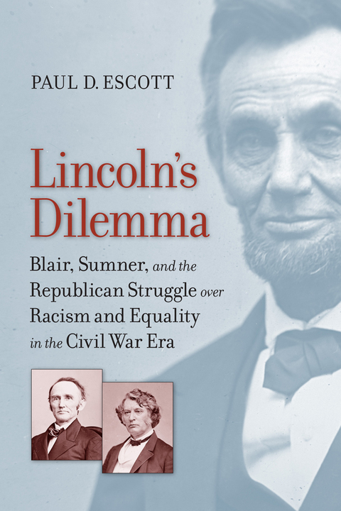Cover image for book Lincoln's Dilemma