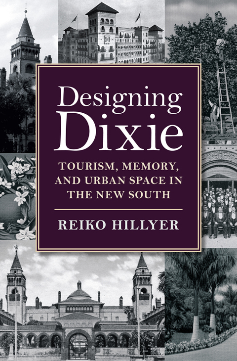 Cover image for book Designing Dixie