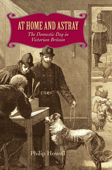 Cover image for book At Home and Astray