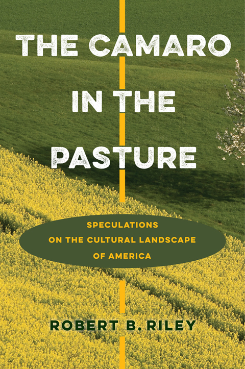 Cover image for book The Camaro in the Pasture