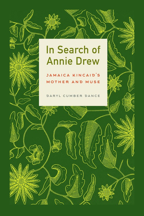 Cover image for book In Search of Annie Drew