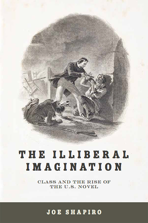Cover image for book The Illiberal Imagination