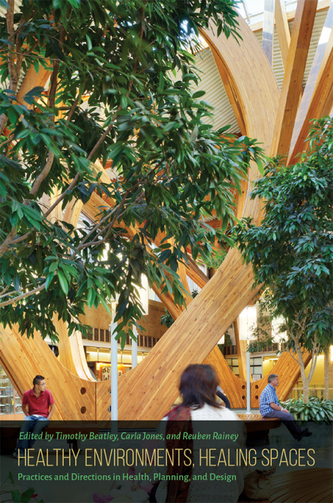 Cover image for book Healthy Environments, Healing Spaces