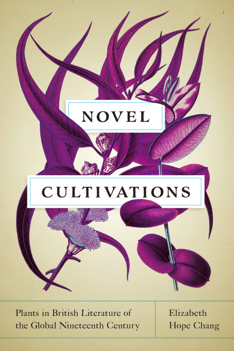 Cover image for book Novel Cultivations