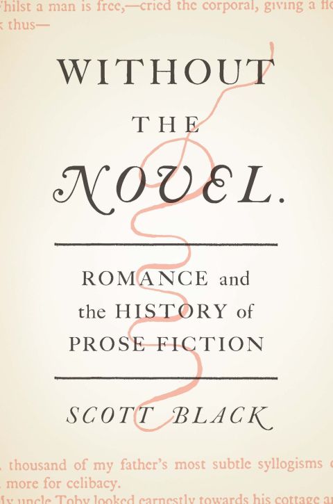 Cover image for book Without the Novel