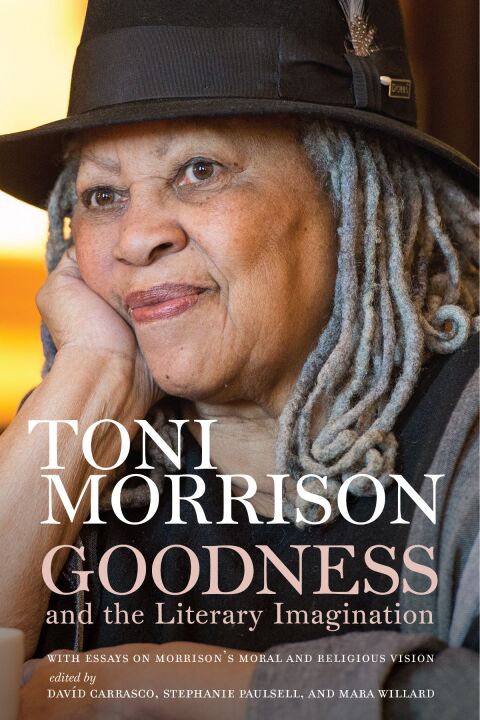 Cover image for book Goodness and the Literary Imagination