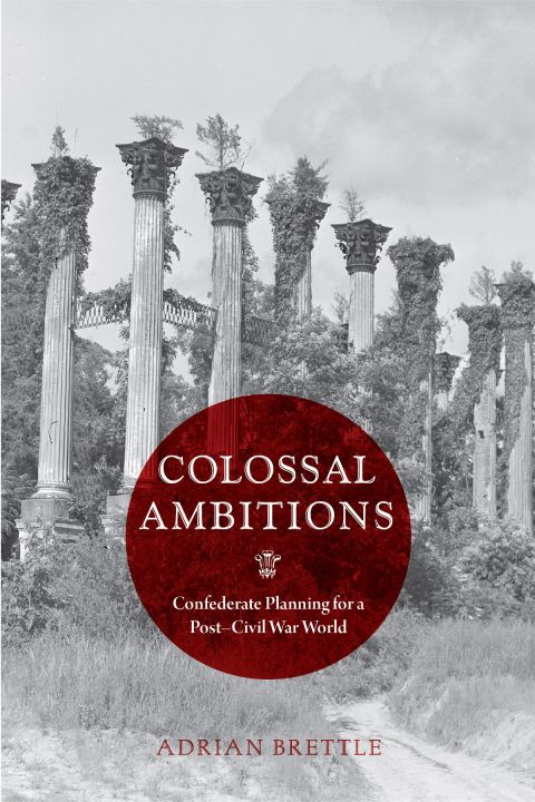 Cover image for book Colossal Ambitions