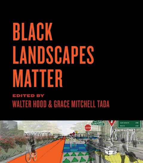 Cover image for book Black Landscapes Matter